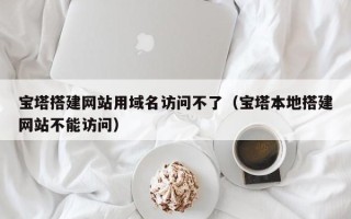 临邑宝塔搭建网站用域名访问不了（宝塔本地搭建网站不能访问）