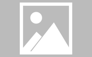 临邑搭建网站招聘信息（网站制作 招聘）